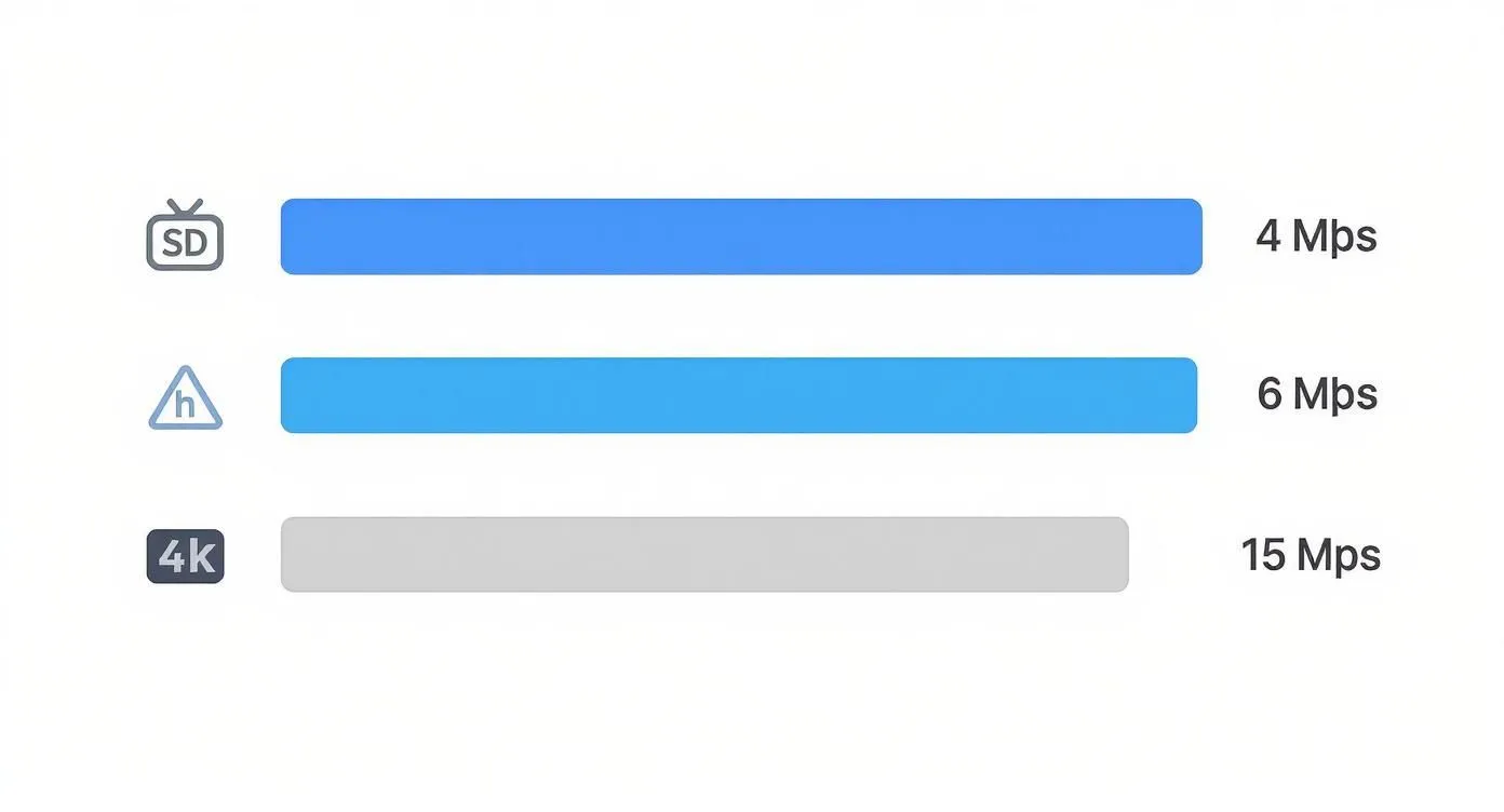 Graphical representation comparing recommended internet speeds for SD, intermediate, and 4K streaming quality.